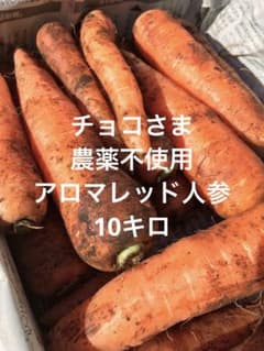 あま〜いアロマレッド人参☺︎農薬不使用【チョコさま】のサムネイル
