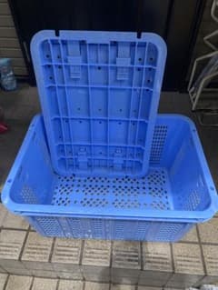 MA-50 蓋付きメッシュコンテナ ブルー 活業用　パッチンカゴ　4個セット MA-50 蓋付きメッシュコンテナ ブルー 活業用 パッチンカゴ 4個セット