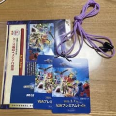 ユニバーサルスタジオジャパン　チケット2枚　貸切プレミアムナイトのサムネイル