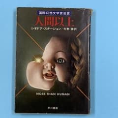 m31029348756_1.jpg?1759504400