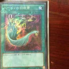 ハーピィの羽根箒のサムネイル