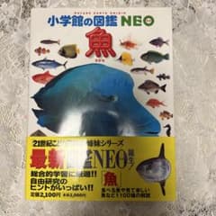 小学館の図鑑NEO 魚のサムネイル