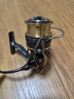 m31034737784_1.jpg?1759918428