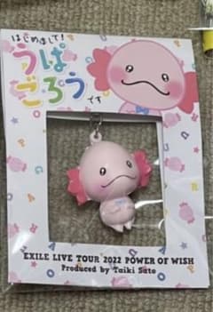 佐藤大樹 うぱごろう メンプロのサムネイル