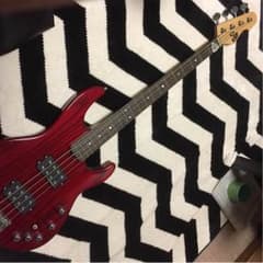 ESP AP-SLのサムネイル