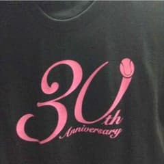 2013年版Tシャツのサムネイル