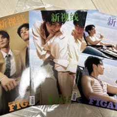 Madame Figaro Hommes 5月号 何衍朝 何昶希 サンロク Madame Figaro Hommes 5月号 何衍朝 何昶希 サンロク - メルカリ