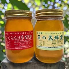 希少 さくらんぼ百花 菜の花蜜 生はちみつ 600g2本セット 国産 非加熱