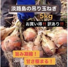 農家直送★淡路島産 吊り玉ねぎ ★訳あり★5kg★甘みと旨み凝縮★伝統農法のサムネイル