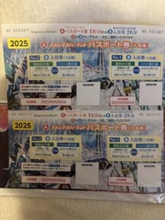 長島スパーランド パスポート券 2名分 2025年のサムネイル