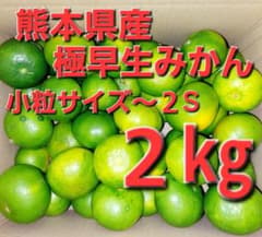 熊本県産極早生みかん 小粒サイズ～２S ２㎏のサムネイル