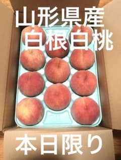 山形県産　白根白桃のサムネイル
