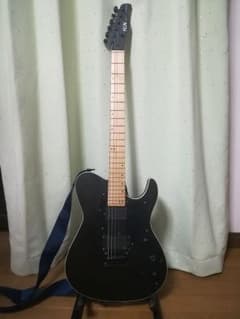 【取り置き中】FUJIGEN(FGN) JIL-ASH-DE664-Mのサムネイル