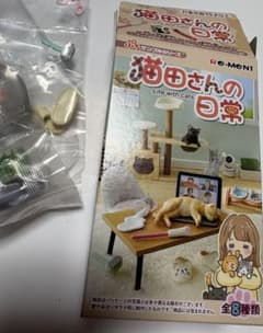 猫田さんの日常 8 寝る前のリラックスタイムのサムネイル