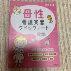 母性看護実習クイックノートのサムネイル