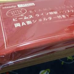 steady 11月号付録☆ビームスのサムネイル
