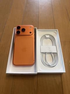 iPhone 17pro 256