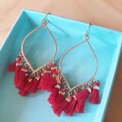 レッド フックピアスのサムネイル