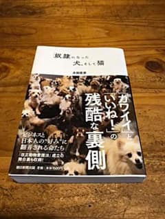 「奴隷」になった犬、そして猫のサムネイル