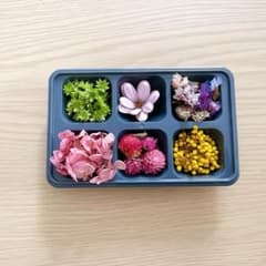 たっぷり】ドライフラワー 花材詰め合わせBOX マルチカラー系 NO.10