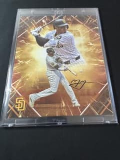 ま*ゃ様 Fanatics MLB EMANATE マニー・マチャド 直筆サイン - メルカリ