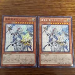 真竜剣皇マスターp　スーパー1シク1のサムネイル