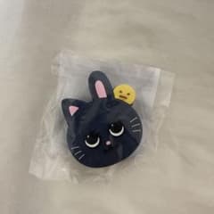 RIIZE ウォンビン うちわアクセサリー トニャンドク - メルカリ