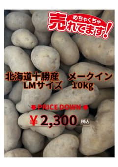 北海道十勝産 メークイン LMサイズ 10kgのサムネイル