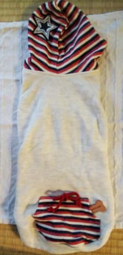 ワンコ用服　パーカー　サイズLTのサムネイル