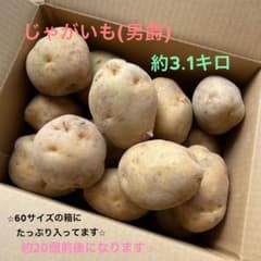 ☆令和6度☆新じゃが☆じゃがいも(男爵)のサムネイル