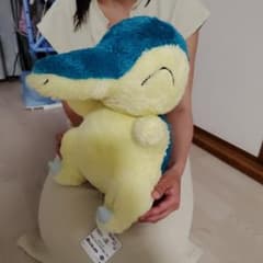ポケモン ヒノアラシ ぬいぐるみのサムネイル