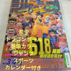 週刊少年ジャンプ 1994年 新年3-4合併号 巻頭カラー ドラゴンボール 週刊少年ジャンプ 1994年 3・4号 ドラゴンボール DRAGON BALL 巻頭