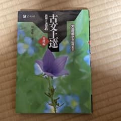 古文上達　45のサムネイル