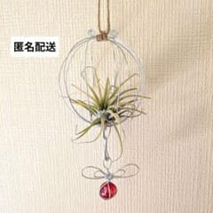 エアプランツホルダー　ハンキング　吊り下げ式　ワイヤークラフト　ガーデニング