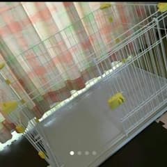 みずきん様専用(o^O^o)のサムネイル