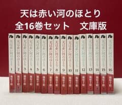 天は赤い河のほとり 全巻セット 全16巻 文庫版 - メルカリ