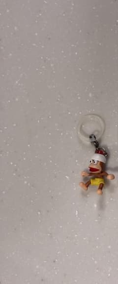 めじるしアクセサリーサルゲッチュのサムネイル