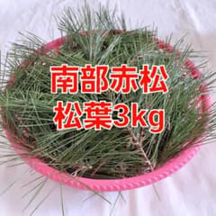 松葉　3㎏　南部赤松　岩手県産　無農薬