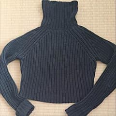 かな様 専用  アレキサンダーワン  ニットのサムネイル