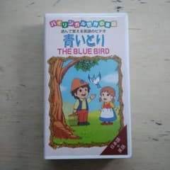 m31142822842_1.jpg?1662356026