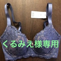 元祖脇肉キャッチャー Ver2.0 ブラジャー/E65/ネイビーのサムネイル