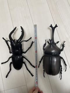 BIGカブトムシ&クワガタのサムネイル