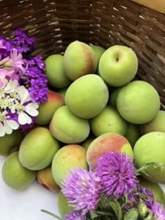 南高青梅　1kg 大のサムネイル