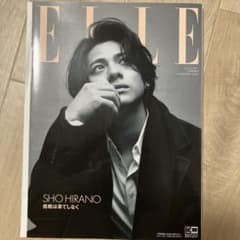増刊 ELLE JAPON 特別版 2023年11月号のサムネイル