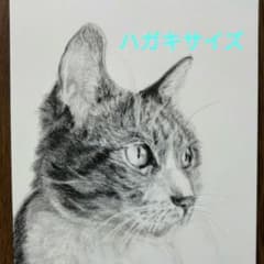 猫 鉛筆画 原画 - メルカリ