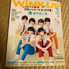 WINK UPのサムネイル