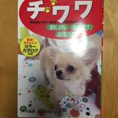 ペット本♡チワワの飼い方♡2008年版美品‼︎のサムネイル