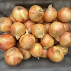 愛知県産　無農薬玉ねぎ10kgのサムネイル
