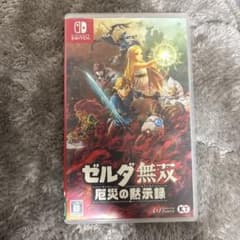ゼルダ無双 厄災の黙示録 Nintendo Switchのサムネイル