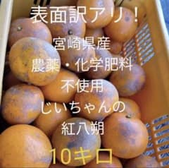 宮崎県産 紅八朔　約10キロのサムネイル